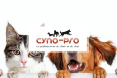 cyno pro témoignage Wavesoft -
