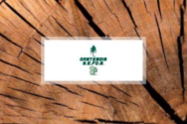 gastebois témoignage wavesoft